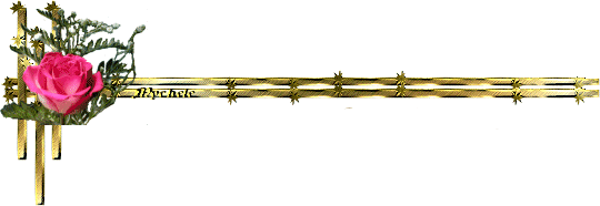 金牡丹