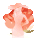 女王