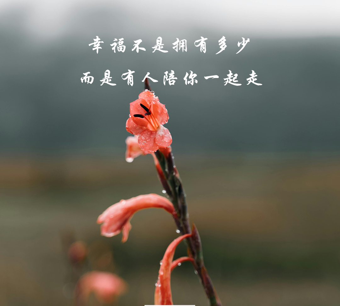 一起，走下去