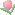 缘梦花园达人